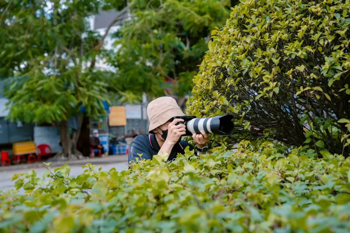 paparazzi photo